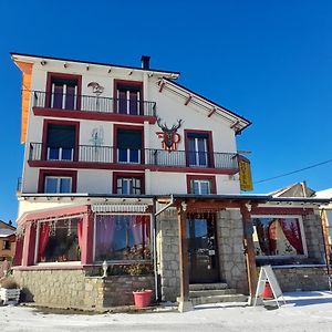 Le Catalan - Hotel Et Appartements